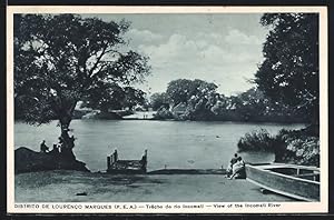 Ansichtskarte Lourenco Marques, View of the Incomati River