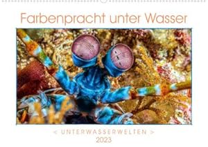 Bild des Verkufers fr Farbenpracht unter Wasser (Wandkalender 2023 DIN A2 quer): Ein Kalender mir farbstarken und ausdrucksvollen Aufnahmen aus der tropischen Unterwasserwelt. (Monatskalender, 14 Seiten ) (CALVENDO Tiere) zum Verkauf von Rheinberg-Buch Andreas Meier eK