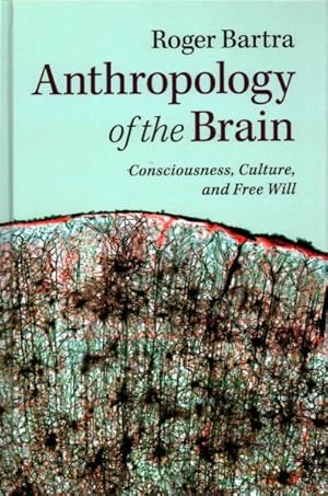 Immagine del venditore per Anthropology of the Brain : Consciousness, Culture, and Free Will venduto da GreatBookPrices