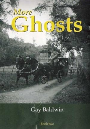 Seller image for More Ghosts: More Ghosts of the Isle of Wight for sale by WeBuyBooks