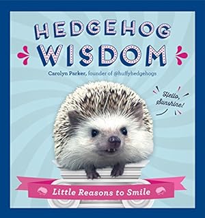 Bild des Verkufers fr Hedgehog Wisdom: Little Reasons to Smile zum Verkauf von WeBuyBooks
