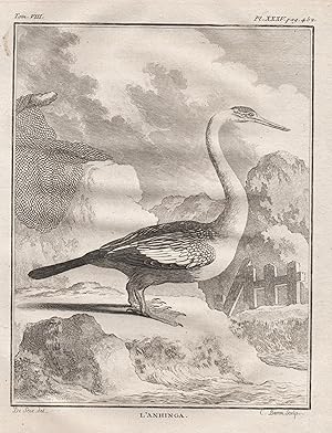 Bild des Verkufers fr L'Anhinga (Pl. XXXV pag 452)" - Schlangenhalsvogel Anhinga / Vogel Vgel birds bird oiseaux oiseau zum Verkauf von Antiquariat Steffen Vlkel GmbH