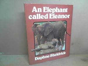 An Elephant called Eleanor.