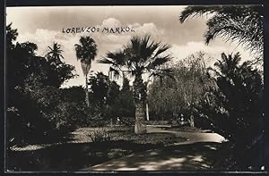 Ansichtskarte Lourenzo-Marques, Palmenweg im Park