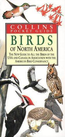 Seller image for Birds of North America (Collins Pocket Guide) for sale by WeBuyBooks 2