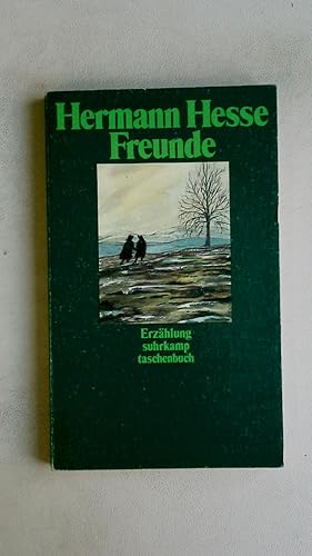 Seller image for FREUNDE. Erzhlung for sale by HPI, Inhaber Uwe Hammermller