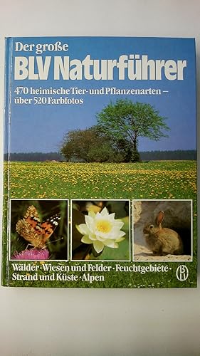 Seller image for DER GROSSE BLV-NATURFHRER. Wlder, Wiesen u. Felder, Feuchtgebiete, Strand u. Kste, Alpen ; 470 heim. Tier- u. Pflanzenarten for sale by Butterfly Books GmbH & Co. KG