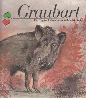 Graubart Ein Tag im Leben eines Wildschweins