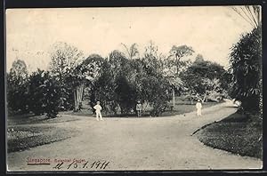 Ansichtskarte Singapore, Botanical Garden