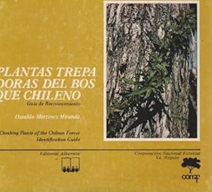 Plantas trepadoras del bosque chileno. Guía de reconocimiento