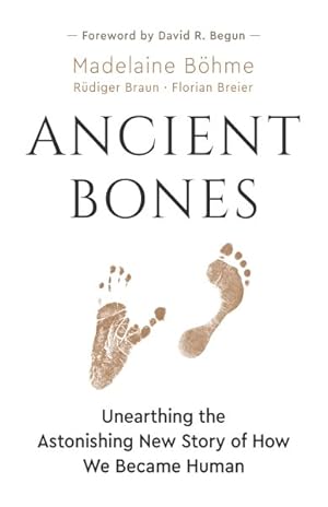 Imagen del vendedor de Ancient Bones : Unearthing the Astonishing New Story of How We Became Human a la venta por GreatBookPrices