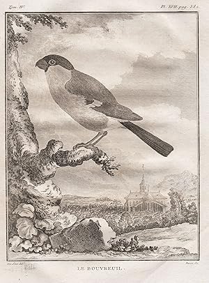 Bild des Verkufers fr Le Bouvreuil" - Gimpel Dompfaff bullfinch / Vgel Vogel bird birds oiseaux oiseau / Tiere animals zum Verkauf von Antiquariat Steffen Vlkel GmbH