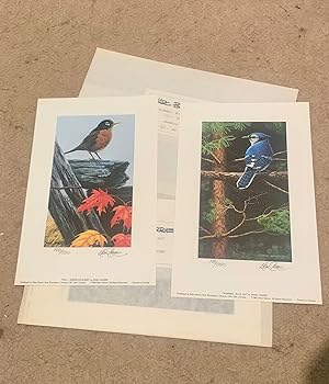 Summer-Blue Jay/Fall-American Robin