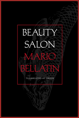 Seller image for Beauty Salon (Paperback or Softback) for sale by BargainBookStores