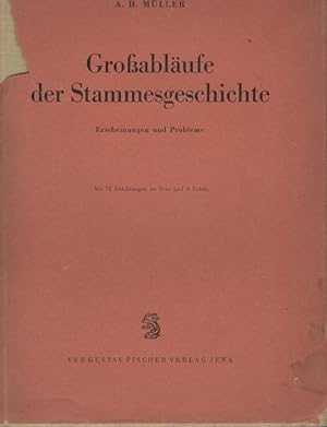 Imagen del vendedor de Groablufe der Stammesgeschichte : Erscheingn u. Probleme. a la venta por Schrmann und Kiewning GbR