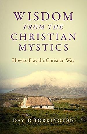 Immagine del venditore per Wisdom from the Christian Mystics: How to Pray the Christian Way venduto da WeBuyBooks