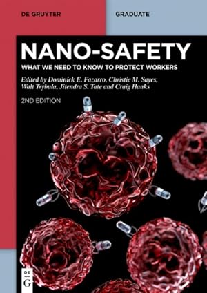 Seller image for Nano-safety : What We Need to Know to Protect Workers for sale by GreatBookPricesUK