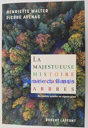 La majestueuse histoire du nom des arbres Du modeste noisetier au séquoia géant