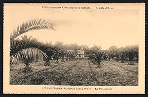 Carte postale L`Almanarre-Pomponiana, La Palmeraie