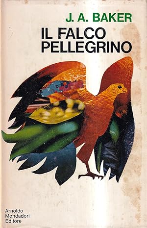 Il Falco Pellegrino