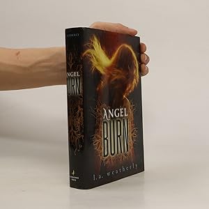 Bild des Verkufers fr Angel Burn zum Verkauf von Bookbot