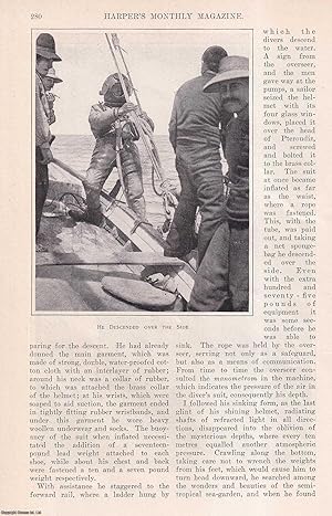 Imagen del vendedor de The Greek Sponge-Divers of Tripoli. This is an original article from the Harper's Monthly Magazine, 1905. a la venta por Cosmo Books
