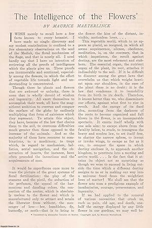 Seller image for The Intelligence of the Flowers. A poetic celebration of the "genius" of flowers. This is an original article from the Harper's Monthly Magazine, 1906. for sale by Cosmo Books