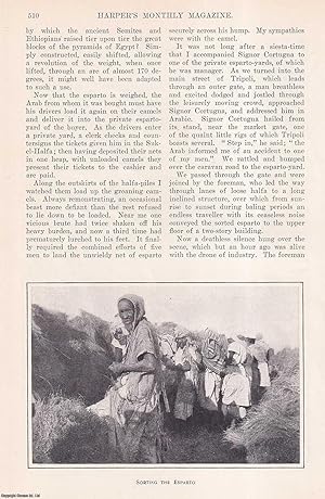 Imagen del vendedor de The Esparto-Pickers of Tripoli. This is an original article from the Harper's Monthly Magazine, 1908. a la venta por Cosmo Books