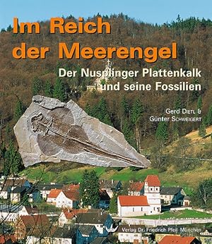 Bild des Verkufers fr Im Reich der Meerengel: Der Nusplinger Plattenkalk und seine Fossilien zum Verkauf von Studibuch