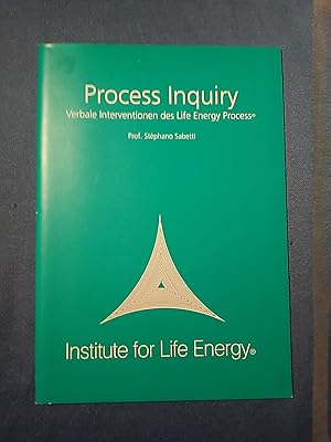 Process Inquiry. Verbale Interventionen des Life Energy Process.