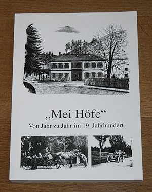 "Mei Höfe". Von Jahr zu Jahr im 19. Jahrhundert. [Geschichte der Gemeinde Höfen an der Enz, Landk...