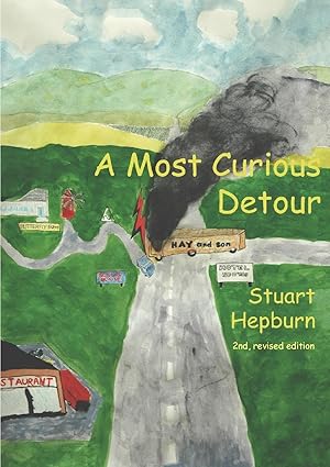 Seller image for A Most Curious Detour for sale by moluna