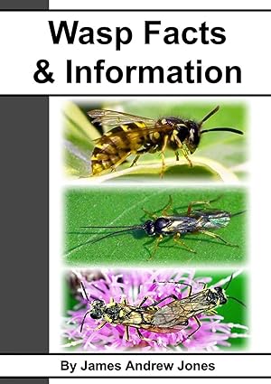 Seller image for Wasp Facts & Information for sale by moluna