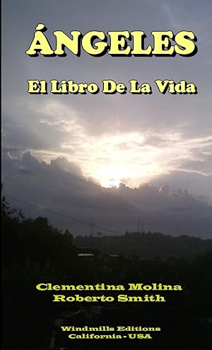 Seller image for ngeles - El Libro De La Vida for sale by moluna