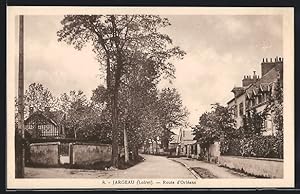Carte postale Jargeau, Route d`Orlèans
