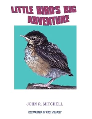 Seller image for Little Bird's Big Adventure for sale by GreatBookPrices