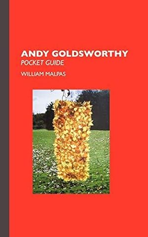 Bild des Verkufers fr Andy Goldsworthy: Pocket Guide (Sculptors) zum Verkauf von WeBuyBooks