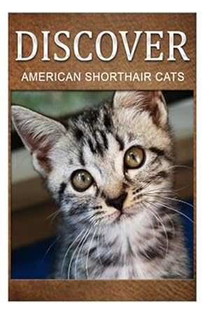 Imagen del vendedor de American Shorthair Cats : Early Reader's Wildlife Photography Book a la venta por GreatBookPrices