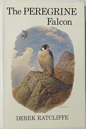 Seller image for The Peregine Falcon for sale by St Marys Books And Prints