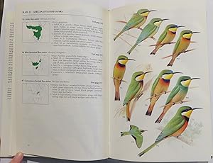 Imagen del vendedor de Kingfishers Bee-eaters & Rollers a la venta por St Marys Books And Prints