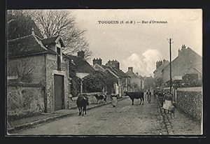 Carte postale Touquin, Rue d`Ormeaux