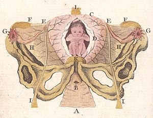 Image du vendeur pour Abbrg de l'art des accouchemens, dans lequel on donne les prceptes ncessaires pour le mettre heureusement en pratique. Nouvelle dition enrichie de figures en taille-douce enlumines. mis en vente par Librairie Vignes Online