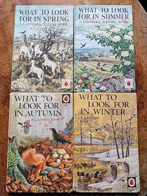 What To Look For in Spring, Summer, Autumn and Winter, 4 books