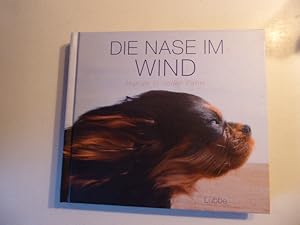 Bild des Verkufers fr Die Nase im Wind. Hunde in voller Fahrt. Hardcover zum Verkauf von Deichkieker Bcherkiste