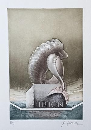 "Triton" / Muschel shell seashell