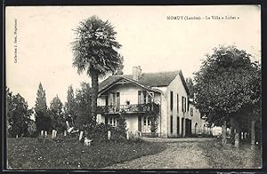 Carte postale Momuy, La Villa Lubet
