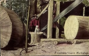 Ansichtskarte / Postkarte British Columbia, Die Werkstatt eines Holzfällers