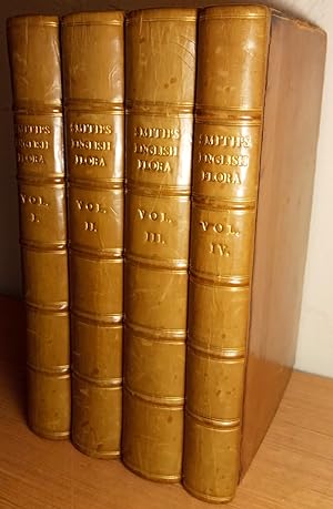 The English Flora (in four volumes)