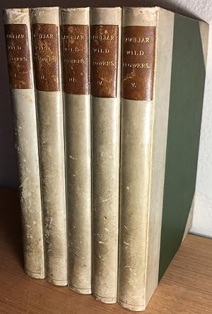 Familiar Wild Flowers [5 volume set]