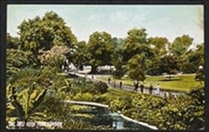 Hyde Park The Dell London Antique 1906 Postcard